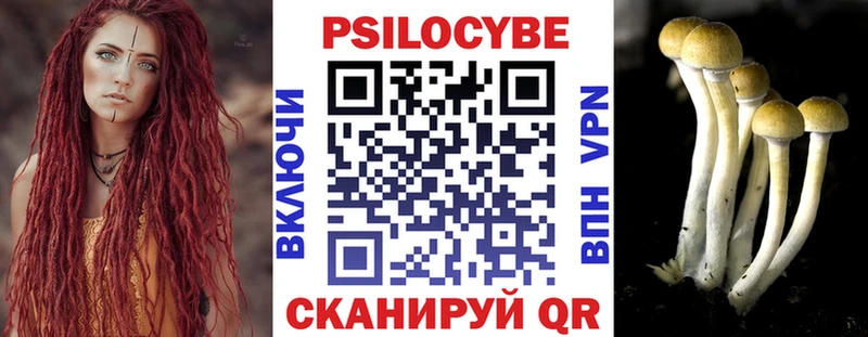 дарнет шоп  Спасск-Рязанский  blacksprut зеркало  Псилоцибиновые грибы Magic Shrooms 